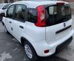 Fiat Panda 1.0 70cv Hybrid - PACK CITY Wit - thumbnail 4
