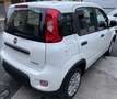 Fiat Panda 1.0 70cv Hybrid - PACK CITY Wit - thumbnail 3