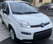 Fiat Panda 1.0 70cv Hybrid - PACK CITY Blanco - thumbnail 2