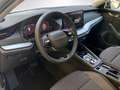 Skoda Octavia Kombi 1,5 TSI mHEV Selection DSG Grau - thumbnail 7