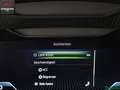 Skoda Karoq Karoq 2.0 TDI 4x4 SCOUT PANO,KESSY,ACC,AHK,SH Blanc - thumbnail 18