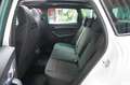Skoda Karoq Sportline 1.5 TSI DSG*AHK*Pano*Kamera*ACC* Weiß - thumbnail 8