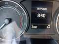 Skoda Fabia Ambition TSI Grau - thumbnail 10