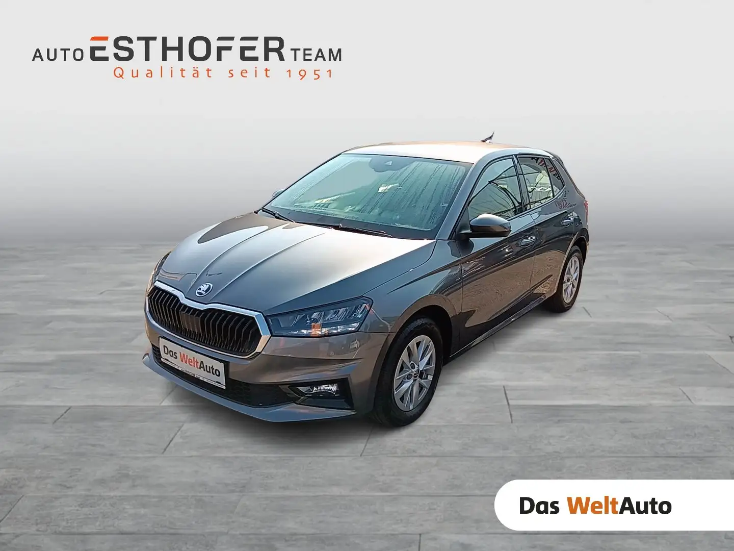 Skoda Fabia Ambition TSI Grau - 1
