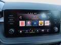 Skoda Fabia Ambition TSI Grau - thumbnail 14