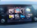 Skoda Fabia Ambition TSI Grau - thumbnail 15