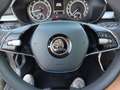Skoda Fabia Ambition TSI Grau - thumbnail 18