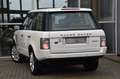 Land Rover Range Rover 4.2 V8 Supercharged SE Leder Dak Youngtimer Blanc - thumbnail 6