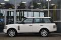 Land Rover Range Rover 4.2 V8 Supercharged SE Leder Dak Youngtimer Blanc - thumbnail 5