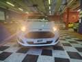 Ford Fiesta 5P 1.4 16V TITANIUM BUSINESS GPL NEO PATENTATI Blanc - thumbnail 2