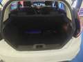 Ford Fiesta 5P 1.4 16V TITANIUM BUSINESS GPL NEO PATENTATI Blanc - thumbnail 15