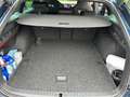 Skoda Octavia Octavia Combi 2,0 TDI 4x4 Ambition DSG Ambition Blau - thumbnail 6