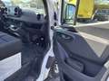 Mercedes-Benz Sprinter 316 cdi Navi AHK Motorschaden Weiß - thumbnail 13