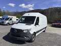 Mercedes-Benz Sprinter 316 cdi Navi AHK Motorschaden Weiß - thumbnail 2