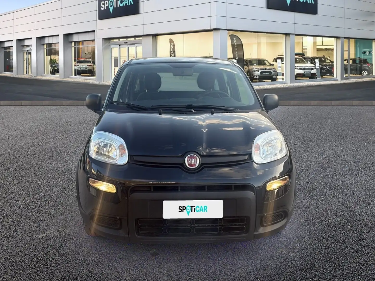 Fiat Panda 1.0 FireFly S&S Hybrid Nero - 2