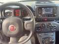 Fiat Panda 1.0 FireFly S&S Hybrid Nero - thumbnail 15