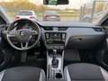 Skoda Octavia Combi Joy / 1.Hand / Klimaaut. / SHZ Blau - thumbnail 10