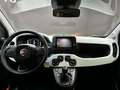 Fiat Panda 1.0 hybrid CROSS 70cv Bianco - thumbnail 14