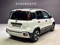 Fiat Panda 1.0 hybrid CROSS 70cv Bianco - thumbnail 5