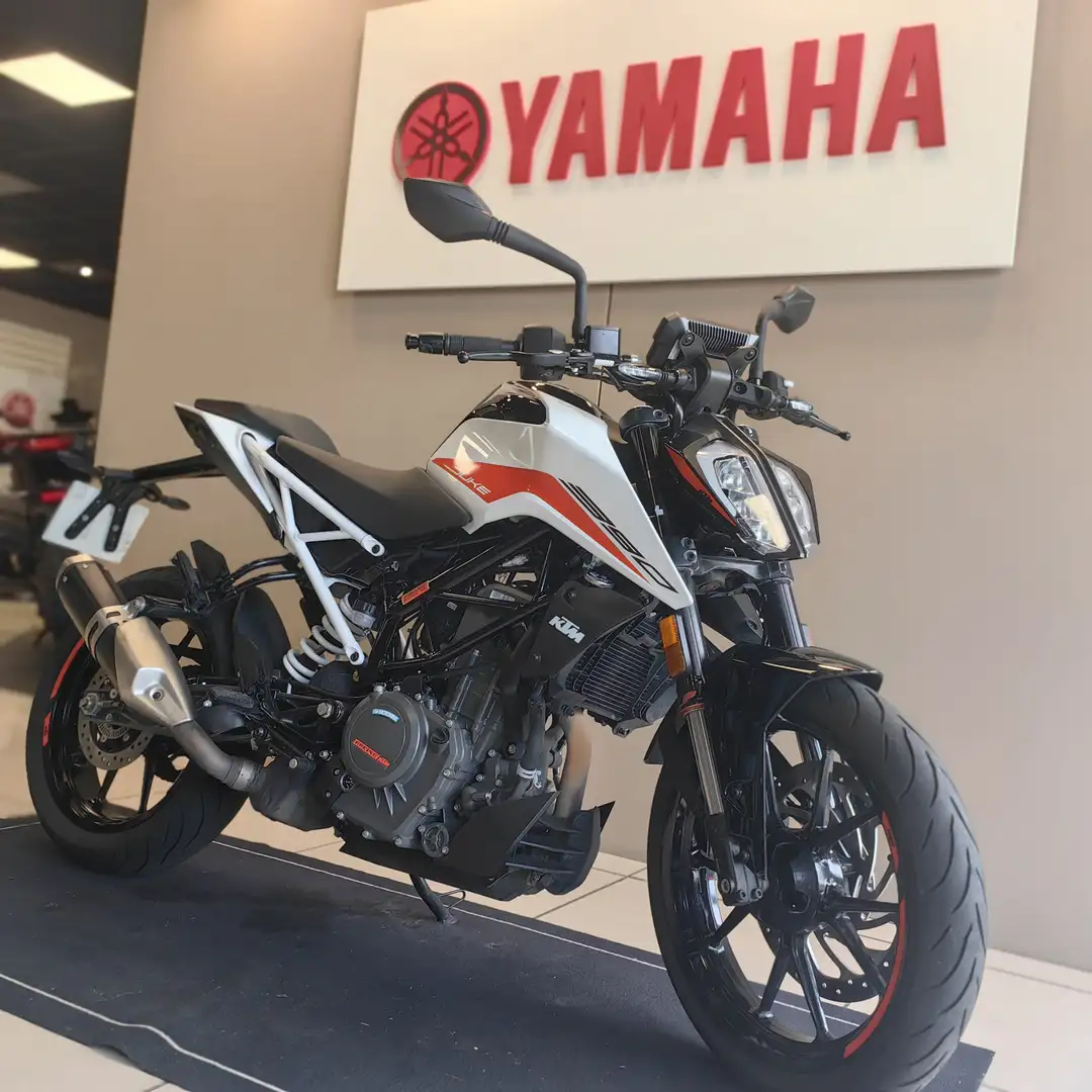KTM 390 Duke - 2
