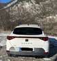 CUPRA Formentor Formentor 1,5 TSI Cupra DSG Cupra Weiß - thumbnail 5