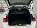 Mercedes-Benz C 43 AMG T 4MATIC Aut.*Panoramadach*LED*Sport-Auspuffanlage Weiß - thumbnail 23