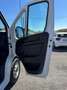 Fiat Ducato 33 2.2 Mjt 140CV L2 H2 Furgone Blanc - thumbnail 10