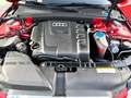 Audi A4 2.0 TDI 170CV F.AP. quattro Rouge - thumbnail 15
