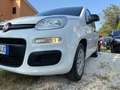 Fiat New Panda Panda 1.2 Benz/Gpl Lounge easypower Ok Neop. Bianco - thumbnail 15