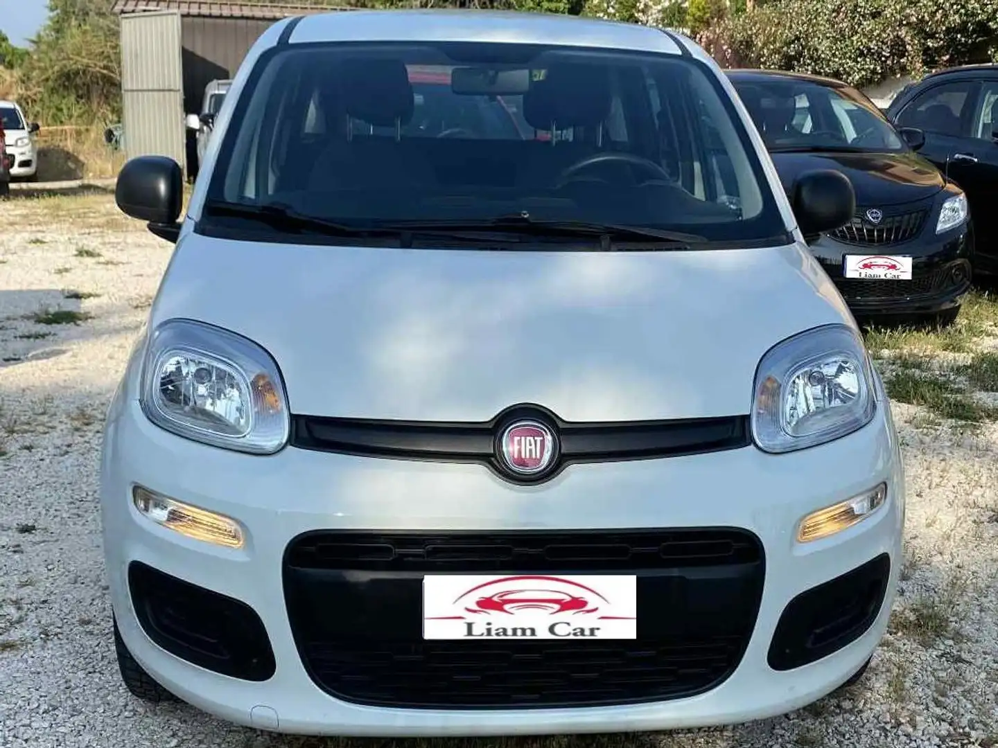 Fiat New Panda Panda 1.2 Benz/Gpl Lounge easypower Ok Neop. Blanc - 2