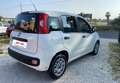 Fiat New Panda Panda 1.2 Benz/Gpl Lounge easypower Ok Neop. Bianco - thumbnail 5