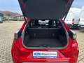 Ford Puma ST-Line LED Kamera 360 LED Matrix Rot - thumbnail 6