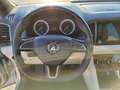 Skoda Karoq Karoq 1.0 TSI DSG Style DSG/LED, ACC, PDC, Navi Silber - thumbnail 14
