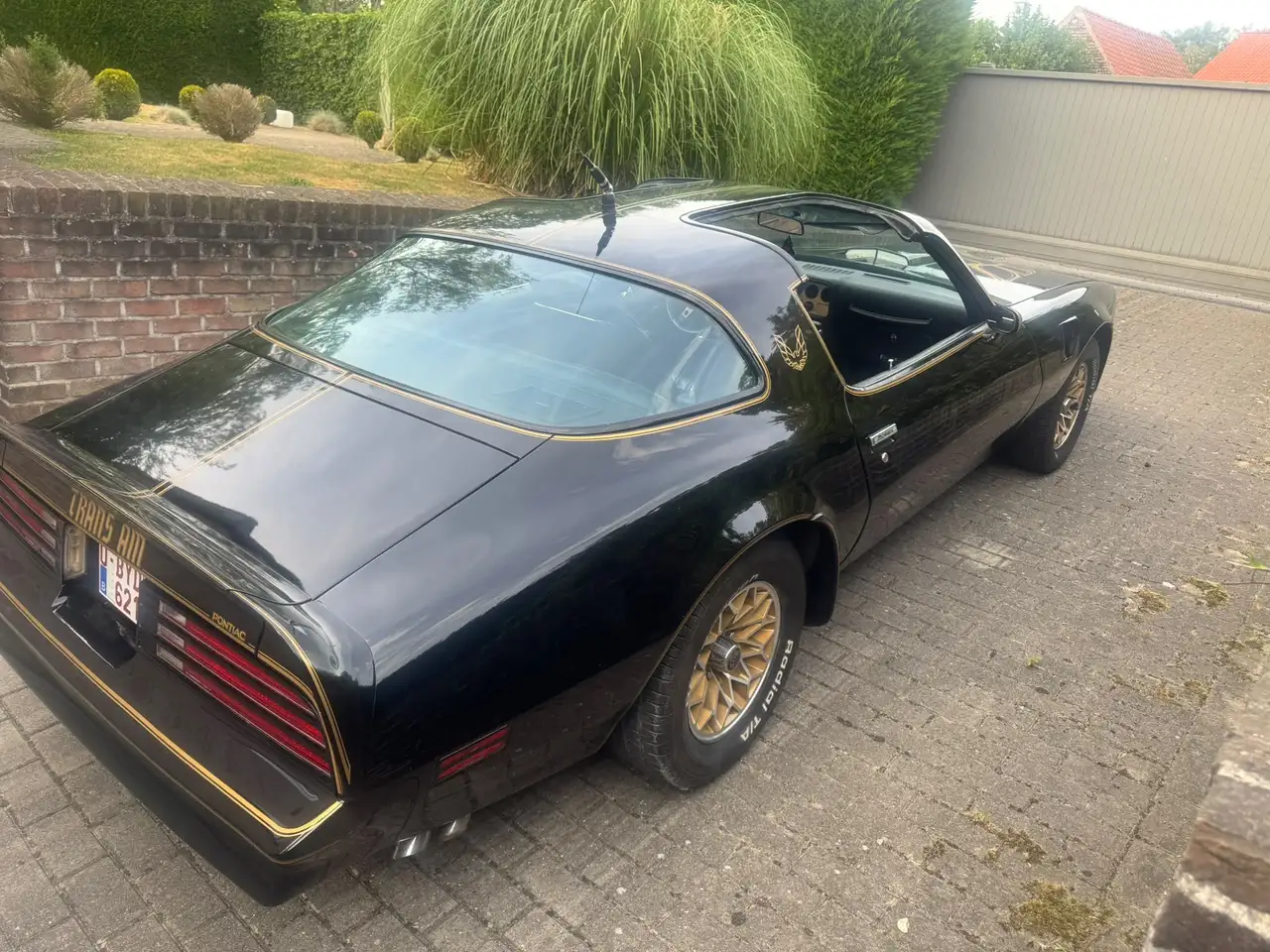 Pontiac Trans Am 6.6 1977, foto 9