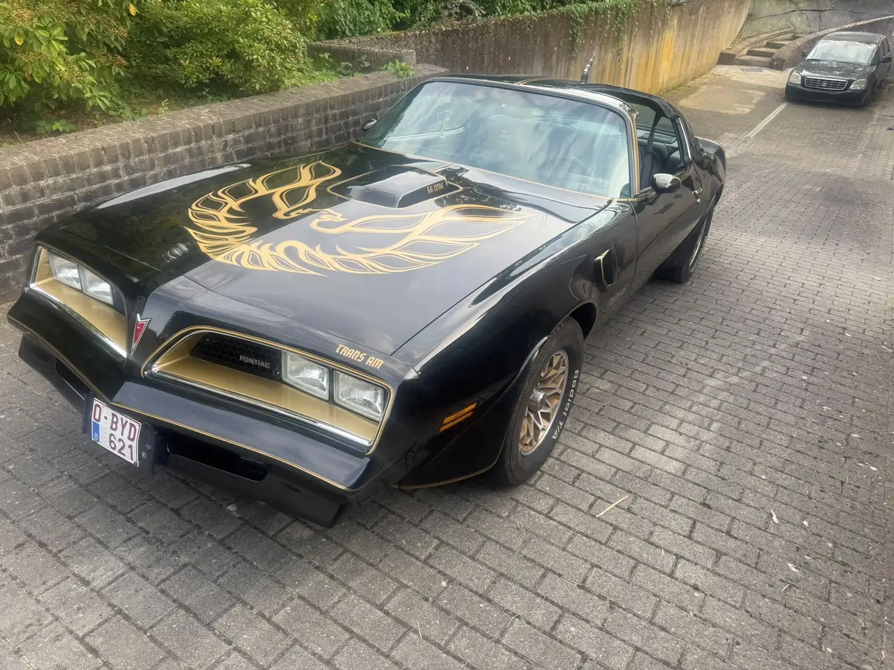 Pontiac Trans Am 6.6 1977, foto 2