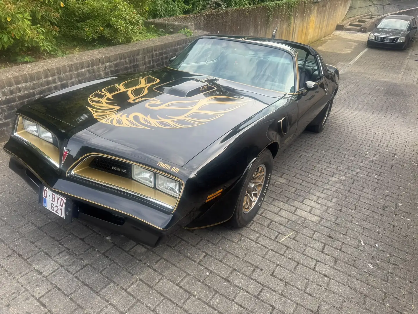 Pontiac Trans Am Trans Am 6.6 1977 - 2