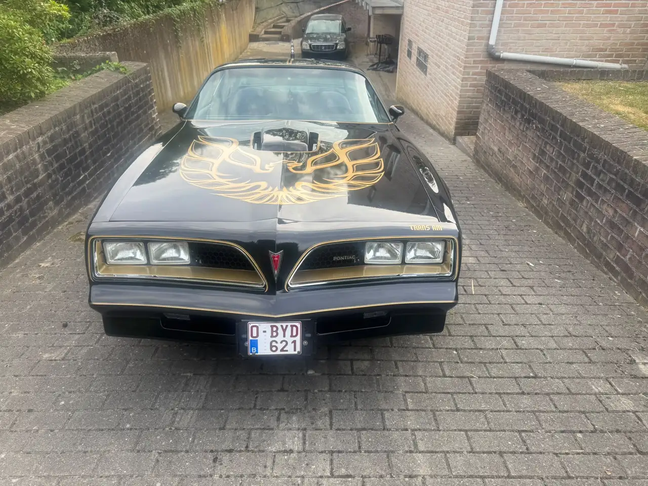 Pontiac Trans Am 6.6 1977, foto 1