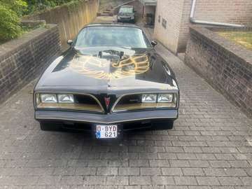 Trans Am 6.6 1977
