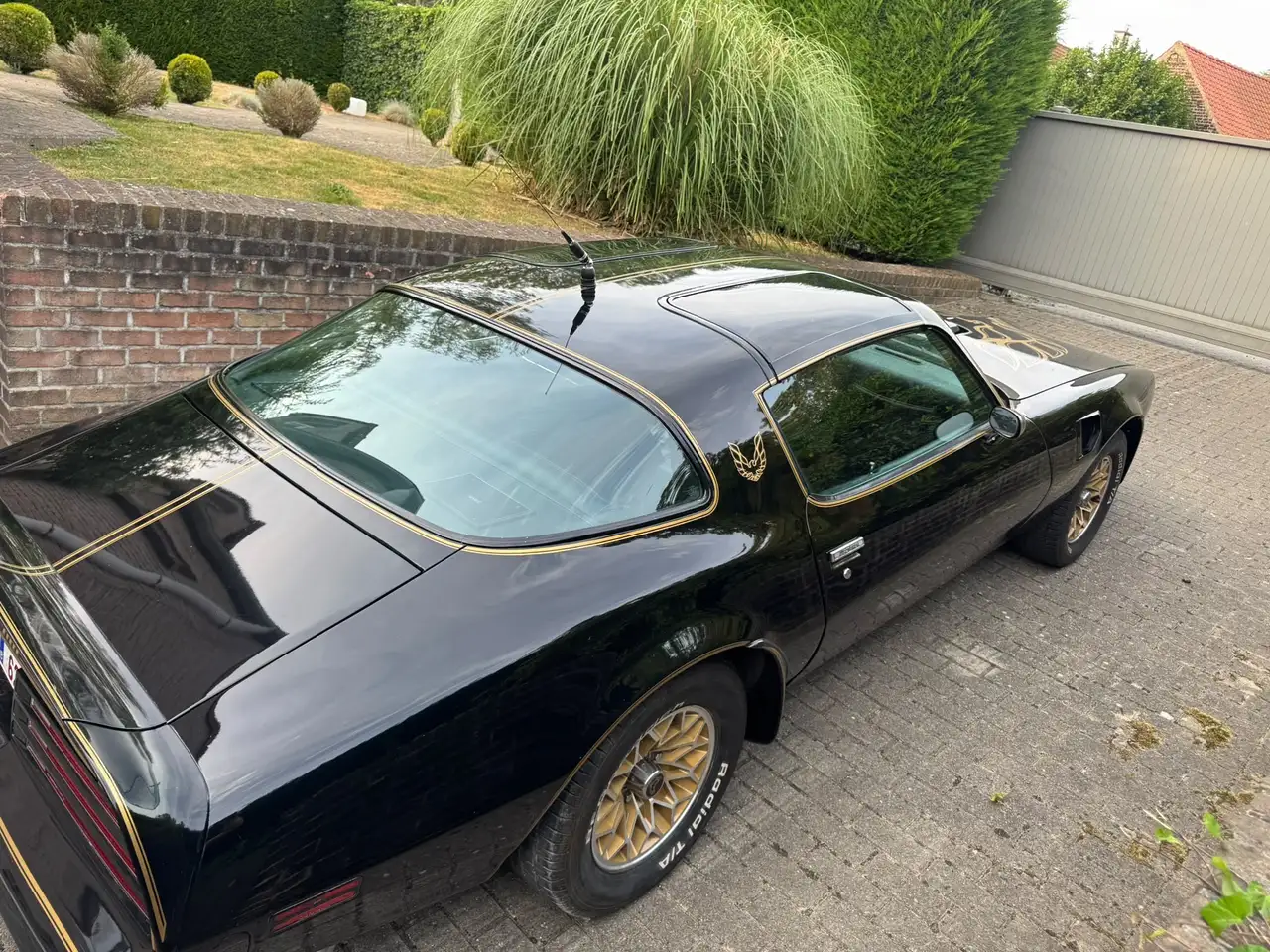 Pontiac Trans Am 6.6 1977, foto 10