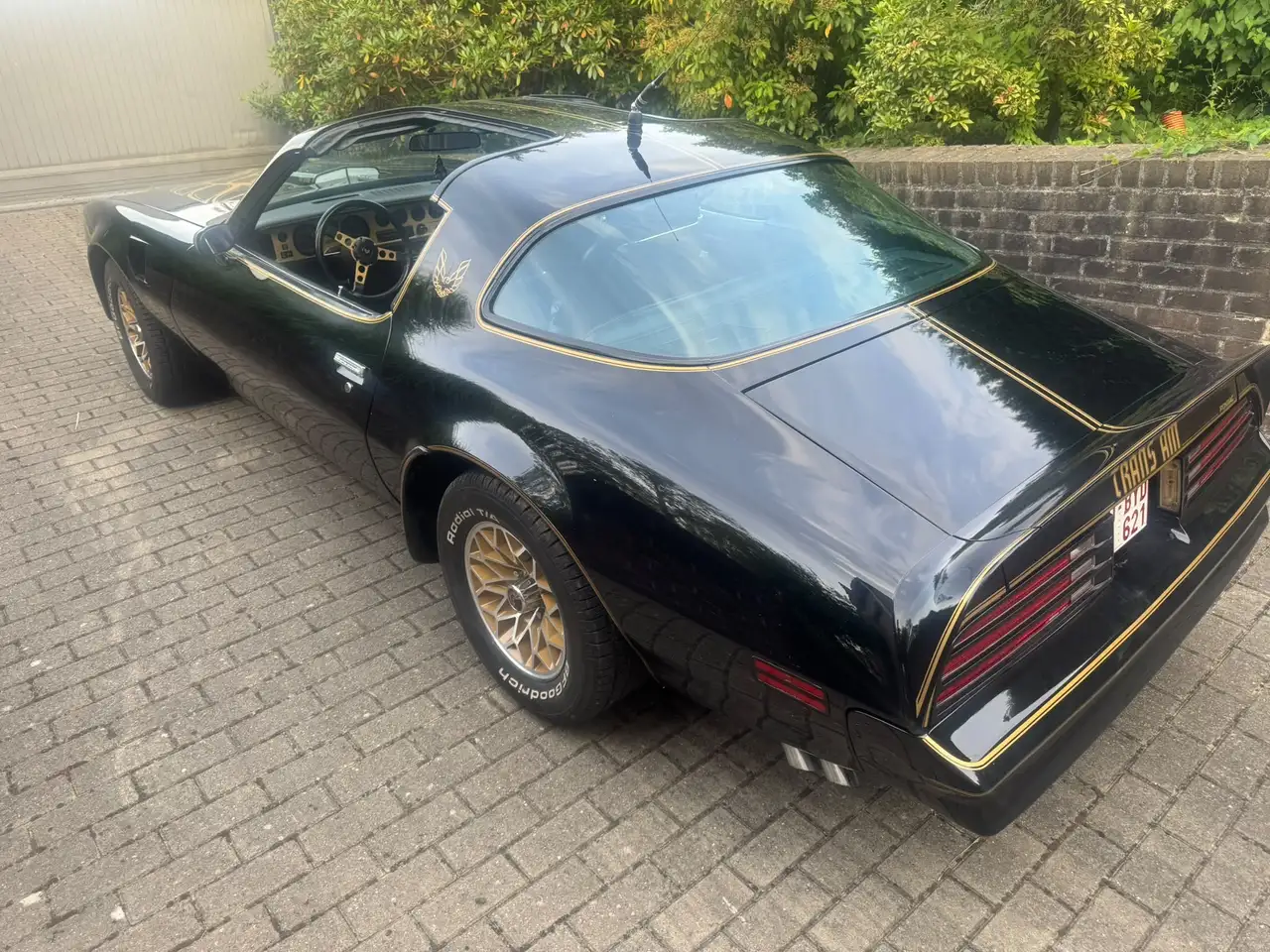 Pontiac Trans Am 6.6 1977, foto 4