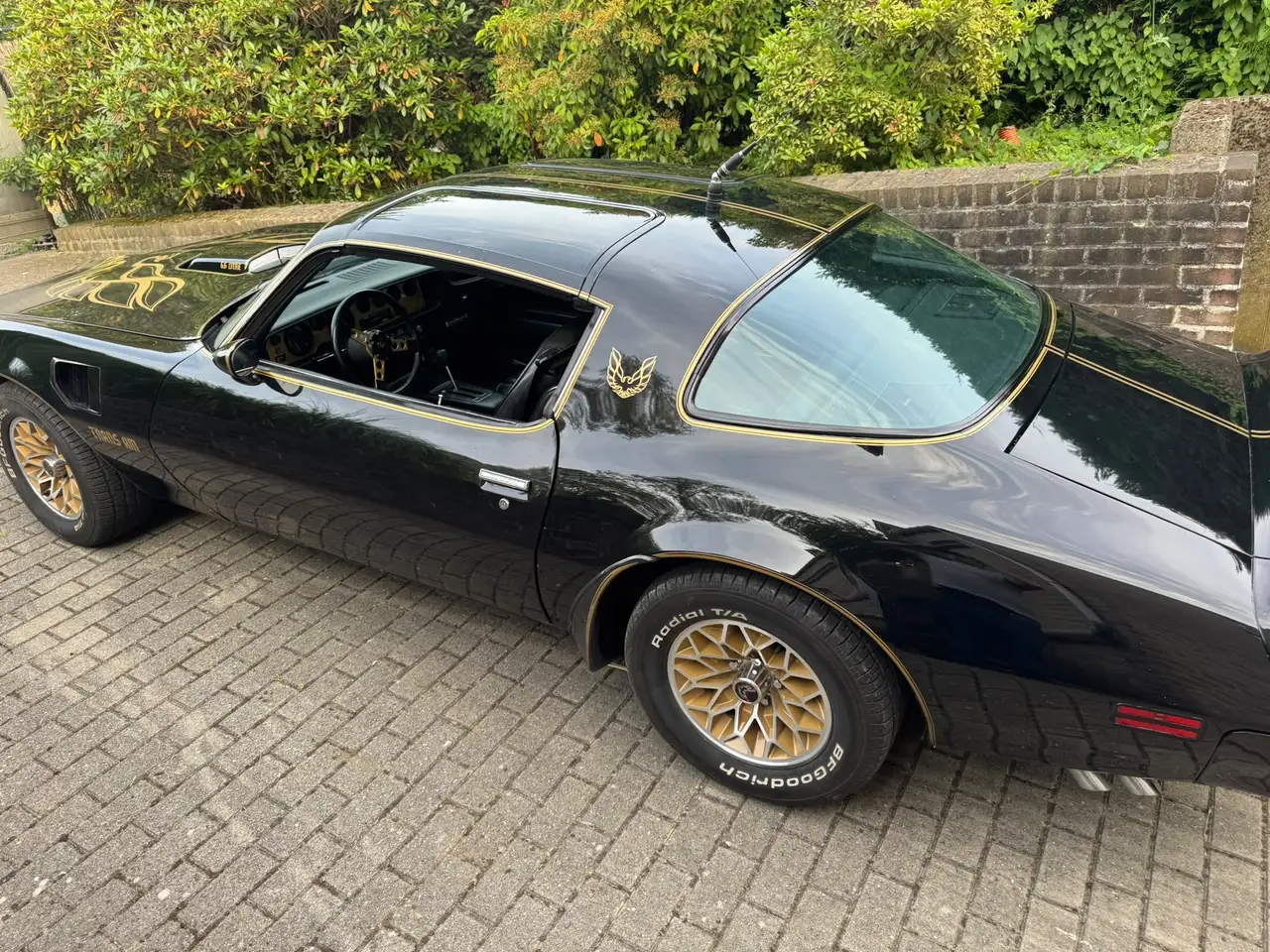 Pontiac Trans Am 6.6 1977, foto 12