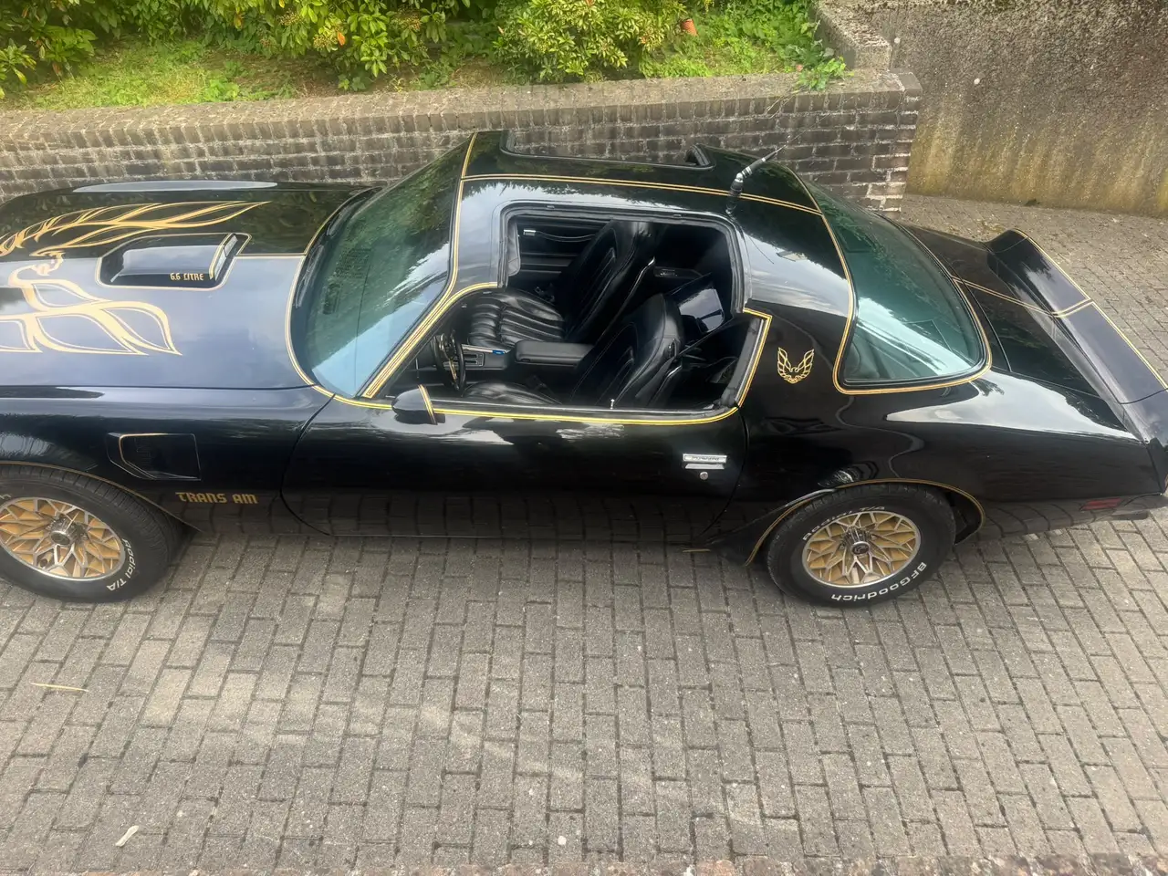 Pontiac Trans Am 6.6 1977, foto 3