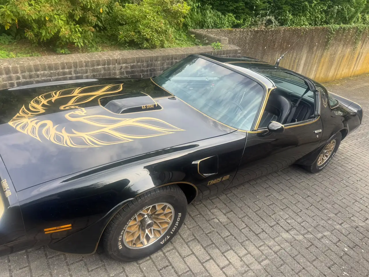 Pontiac Trans Am 6.6 1977, foto 8