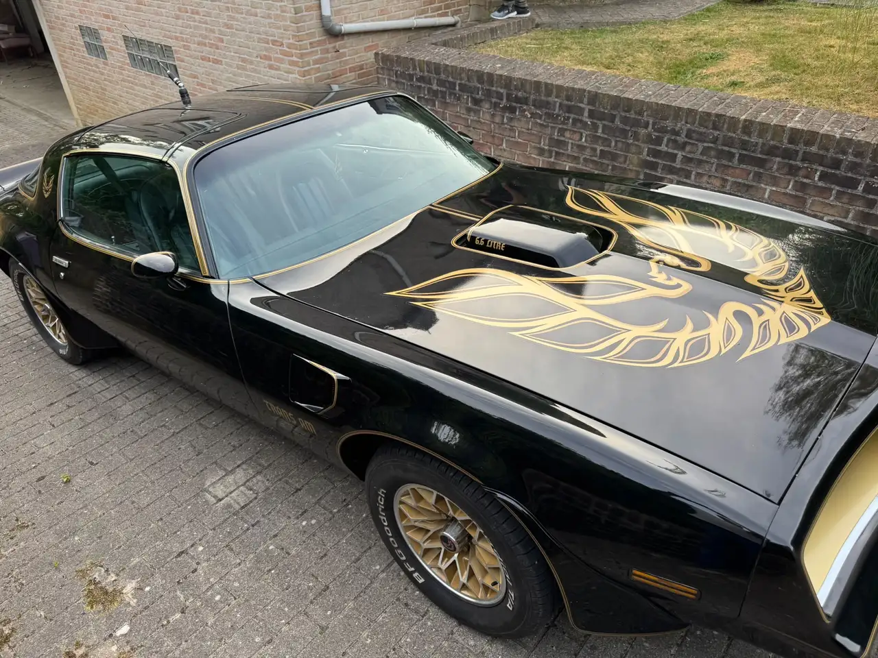 Pontiac Trans Am 6.6 1977, foto 6