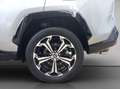 Toyota RAV 4 Plug-in-Hybrid Style, 360°, Sitzbelüftung Silber - thumbnail 29