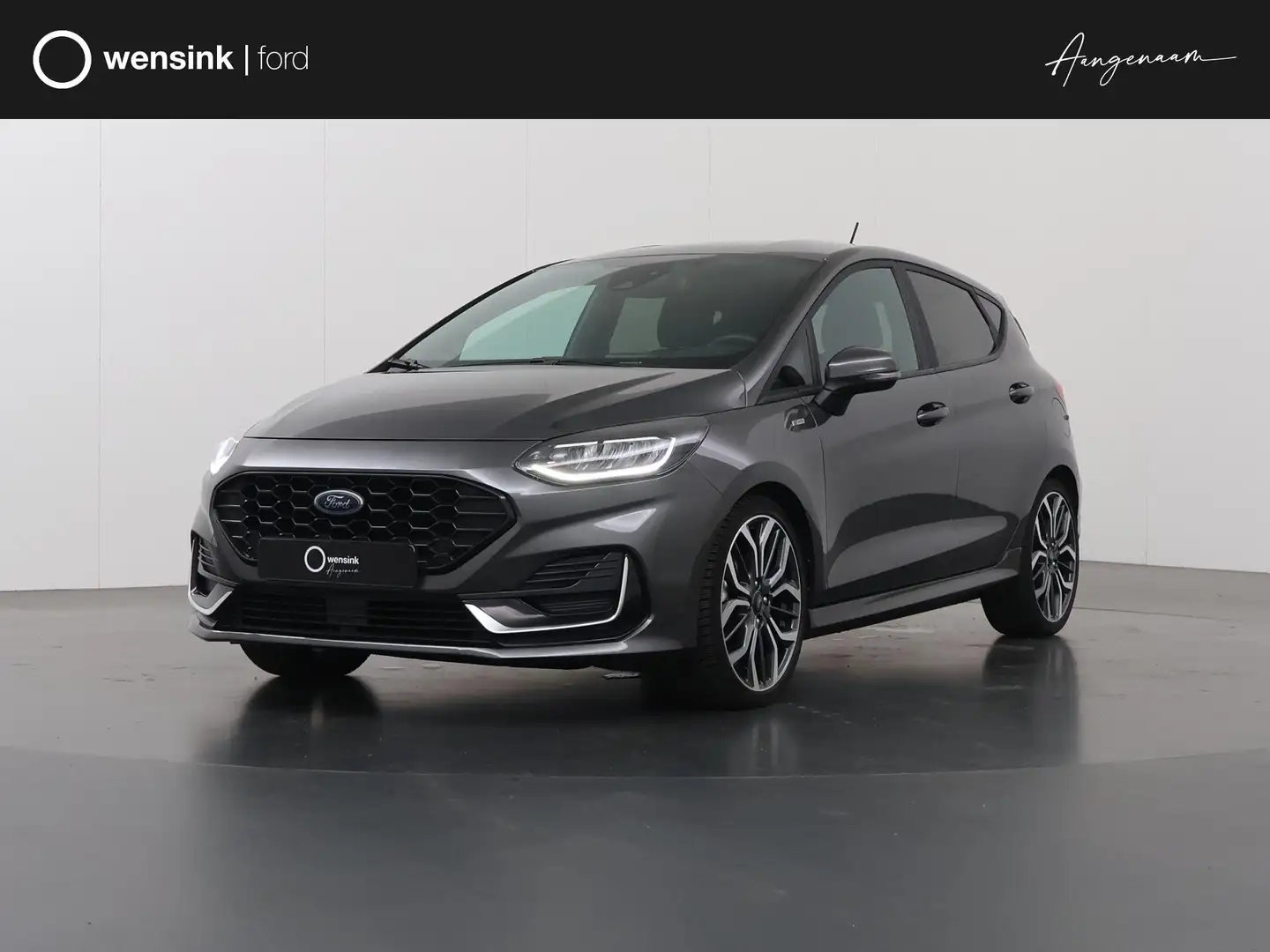 Ford Fiesta 1.0 EcoBoost Hybrid ST-Line X Vignale | Winterpakk Grijs - 1