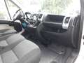 Fiat Ducato LH3 2019 GARANZIA [A305] Blanc - thumbnail 6