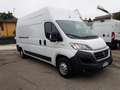 Fiat Ducato LH3 2019 GARANZIA [A305] Blanc - thumbnail 2