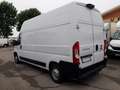 Fiat Ducato LH3 2019 GARANZIA [A305] Blanc - thumbnail 4