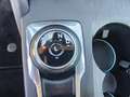 Ford Focus 1.5 EcoBlue 120 CV automatico SW Business Grigio - thumbnail 14
